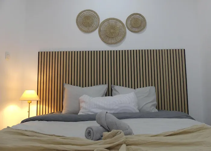 Cosy Appartement Met Tuin In Centrum Antwerpen Gratis Parking Free Parking!